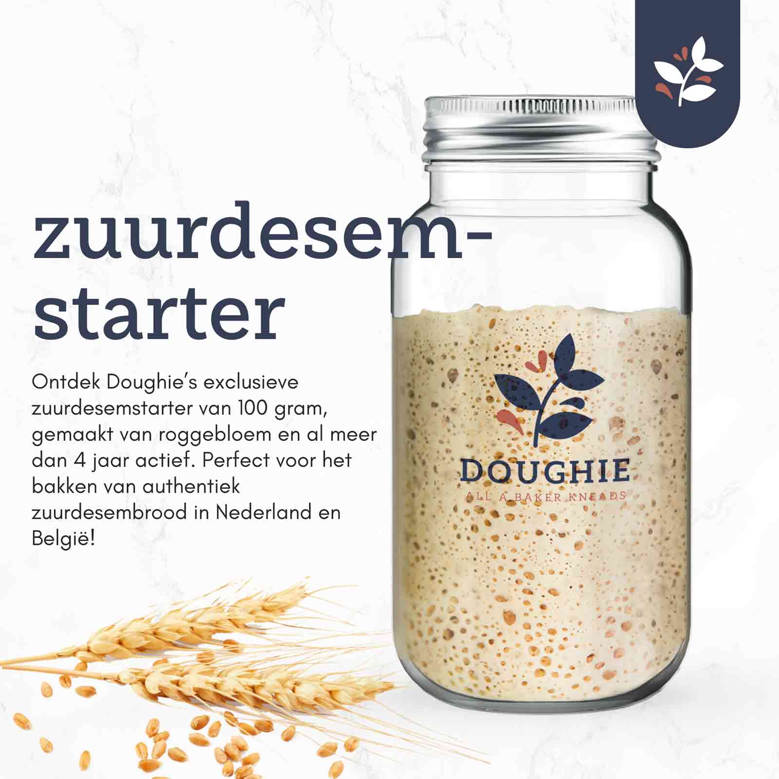 Doughie - zuurdesem starter met descriptie